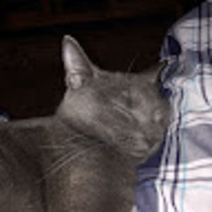 Meet your Posher, George